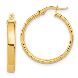 Black Bow Jewelry 3.75mm x 25mm (1 Inch) 14k Yellow Gold Domed Round Tube Hoop Earrings - 1 of 4