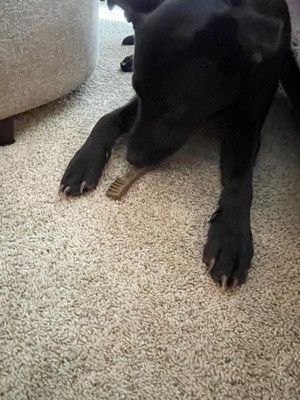 Guest review image 4 of 4, zoom in