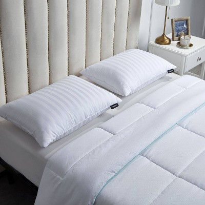 Beautyrest hot sale feather pillow