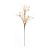 Melrose Foxtail Pod Spray (Set of 12) - 3 of 4