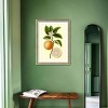 FONTOI 2pcs Fruit Canvas Wall Art, Botanical Wall Decor Living Room, Dining Room Decor Framed Wall Art for Hallway, Orange 18"* 24"*1.2" - 4 of 4
