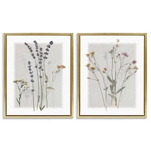 Stupell Industries Delicate Wildflower Herb Sprigs 2pc Floating Frame Art Set - 1 of 4