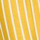 yellow stripe