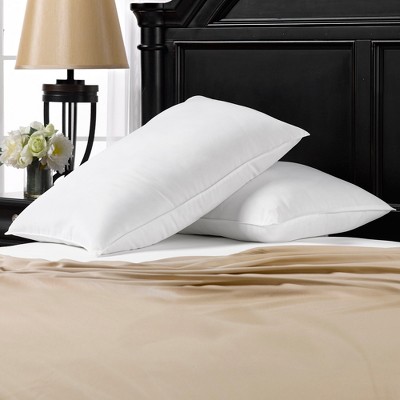 White Hypoallergenic Polyester King Stomach Sleeper Pillow Set