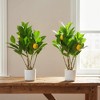 Orieon 2 Pack 19.7" Artificial Lemon Trees, Faux Potted Plants for Home, Kitchen, Living Room, Office Decor - 2 of 4