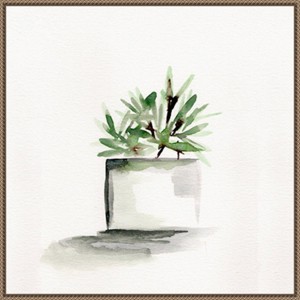 Amanti Art Potted Botanicals IV by Marcy Chapman Framed Wall Art Print - 1 of 4