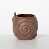 Sullivans 6" Brown Outdoor Snail Planter, Resin - 4 of 4