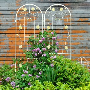 Aghana Digitals 4-Pack 71"x19.7" Rustproof Metal Garden Trellis with Bird/Leaf/Flower Design for - 1 of 4