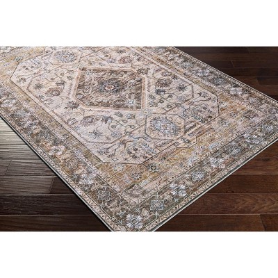 Hauteloom Beige and Ice Blue Washable Polyester Area Rug 3' x 5'