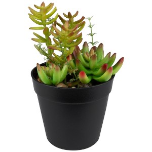 Northlight 8" Mixed Succulent Artificial Plant Arrangement in Pot - Green/Red - 1 of 4
