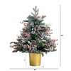 Nearly Natural 3' Pre-lit Snowy Potted Fraser Fir Artificial Christmas Tree with Dual Color LED Lights - 2 of 4