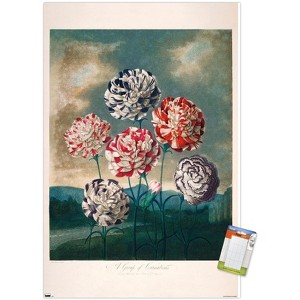 Trends International A Group Of Carnations Unframed Wall Poster Prints - 1 of 4