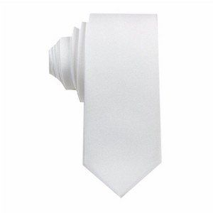 Ryan Seacrest Mens Simple Self-tied Necktie - 1 of 1