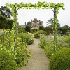 Costway Garden Wedding Rose Arch Pergola Archway Flowers Climbing Plants Trellis Metal - 3 of 4