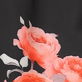 black-peony flower
