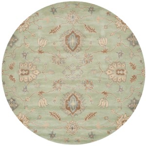 Wyndham WYD202 Hand Tufted Area Rug  - Safavieh - 1 of 1