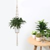 Unique Bargains Garden Cotton Rope Basket Macrame Plant Flower Planters Hanger Beige 47.2 Inch 1 Pc - 4 of 4