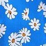 daisy blue