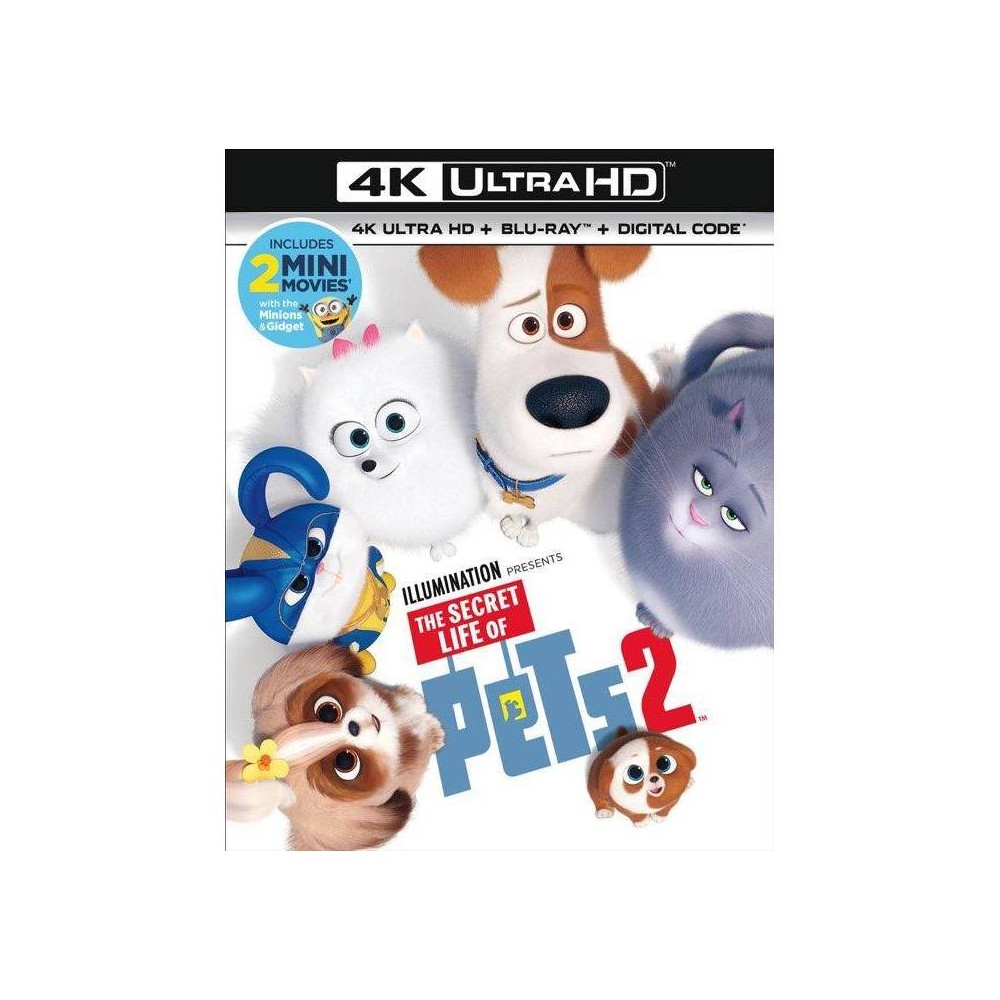 UPC 191329082942 product image for The Secret Life of Pets 2 (4K/UHD) | upcitemdb.com