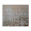Trademark Fine Art Petra Meikle de Vlas Lifted Wood Slat Art - 3 of 4