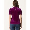 INSPIRE CHIC Women's Short Sleeve Velvet Keyhole Back Ruffle Mock Neck Shirt - 3 of 4