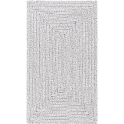 Braided BRD315 Hand Woven Area Rug  - Safavieh
