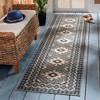 Veranda VER099 Power Loomed Indoor/Outdoor Area Rug  - Safavieh - 2 of 4