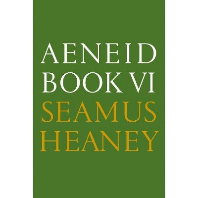 Aeneid Book VI - by  Seamus Heaney (Paperback)