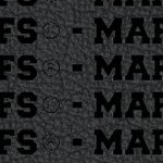 toronto maple leafs