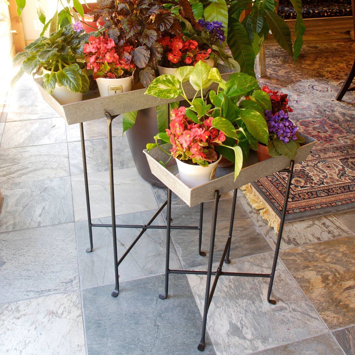 Multi-Purpose Folding Floor Iron Stand Black Powder Coat Finish - Achla Designs: Durable Outdoor & Indoor Planter Holder, No Assembly Required - thumbnail 6