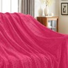 Inhand Flannel Throw Blanket, 50”x60” Super Soft Fuzzy Blanket for Couch Sofa Bed Office, Cozy Plush Lightweight Blanket Throw Size - 3 of 4