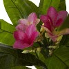 HomeStock  5 ft. Artificial Plumeria Tree in Pot for Indoor/Outdoor - 3 of 3