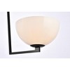 Elegant Lighting Jeanne 2 lights black and white glass flush mount - 4 of 4
