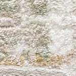 ivory, off white, olive, mustard