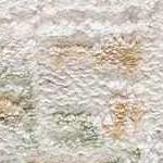 ivory, off white, olive, mustard