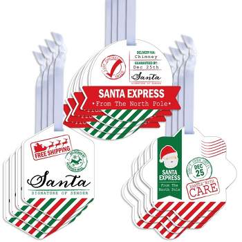Big Dot of Happiness Santa's Special Delivery - Assorted Hanging From Santa Claus Christmas Favor Tags - Gift Tag Toppers - 12 Ct