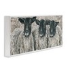 Stupell Industries Three Sheep Trio Portrait, 24" x 10" - 3 of 4