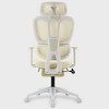 Dsvimoy Task and Office Chair Ergonomic Mesh Chair with Adjustable Armrest and Footrest for Office Use, Beige, 24.41"*13.78"*22.83" - 4 of 4