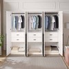 Manhattan Comfort Set of 3 Lee 2 Door Wardrobe Closets - 3 of 4