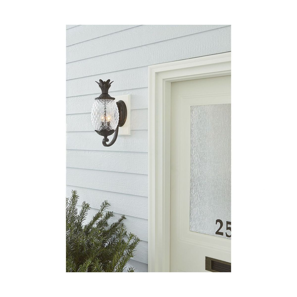 Acclaim Lighting Lanai 2 - Light Wall Light in Black Coral - thumbnail 5