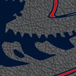 new england patriots
