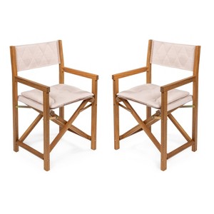 Waldo Classic Mid-Century Outdoor Acacia Wood Foldable Diamond-Quilted Back Director Chair with Cushion- JONATHAN Y - 1 of 4