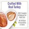 Purina Fancy Feast Entree Roasted Turkey Flavor Wet Cat Food - 2.8oz - 4 of 4