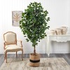Nearly Natural 6-ft Ficus Artificial Tree with Natural Trunk in Handmade Natural Cotton Planter - 3 of 3