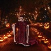 Trick Or Treat Studios Michael Dougherty Krampus Adult Costume - image 3 of 4