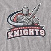 Men's Queens College Official Distressed Primary Logo T-Shirt - 2 of 4