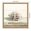 Amanti Art Driftwood Shell II by Danhui Nai Canvas Wall Art Print Framed 16 x 16-in. - 4 of 4