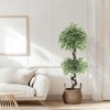 Banyan Artificial Ficus Tree for Home Decor Indoor with Pebbles & Green Fake Moss - 4 of 4