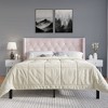 ChaletPosh Velvet Upholstered Bed with 2 Nightstands - 2 of 4