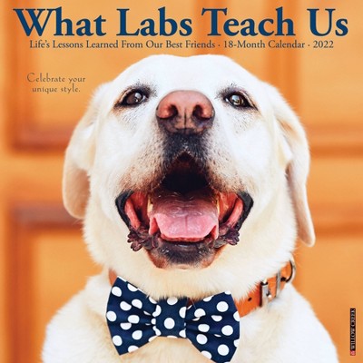 2022 Wall Calendar What Labs Teach Us - Willow Creek Press